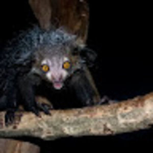 Meet your Posher, Makenna